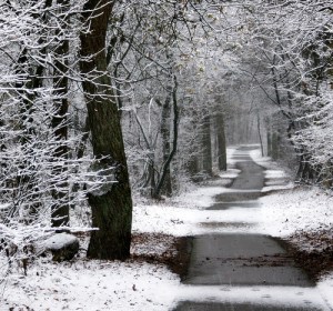 Sometimes the WAY seems isolated and cold. 