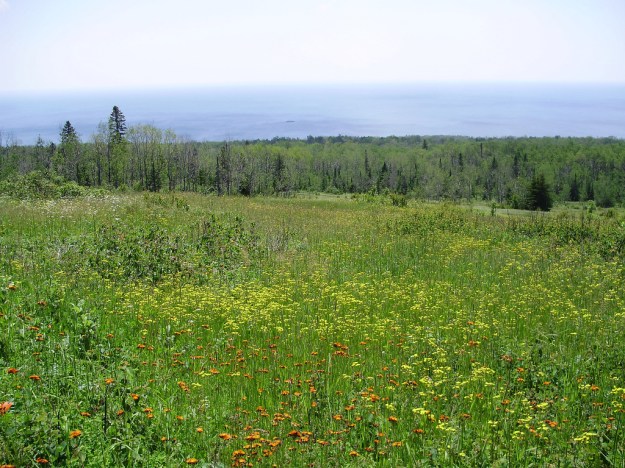 Lake Superior from the Superior Hiking Trail
