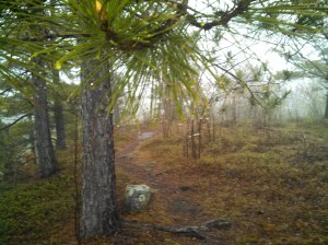 IMG_20130530_065714_527