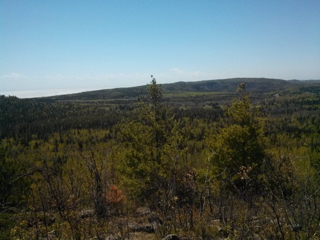 Looking Southwest from the ridge near Silver Bay.