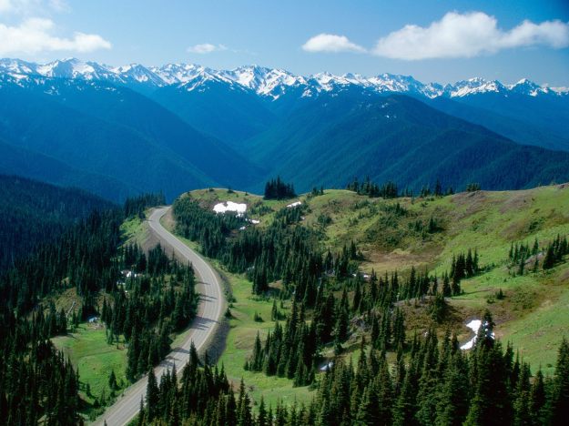 Hurricane Ridge in Olympic National Park