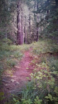 IMG_20140821_105737_776 (2)