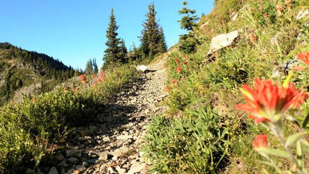 35 0818 Trail near Hopkins Pass cropped compress